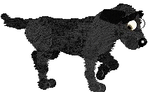 lucky_point.gif(8179 bytes)